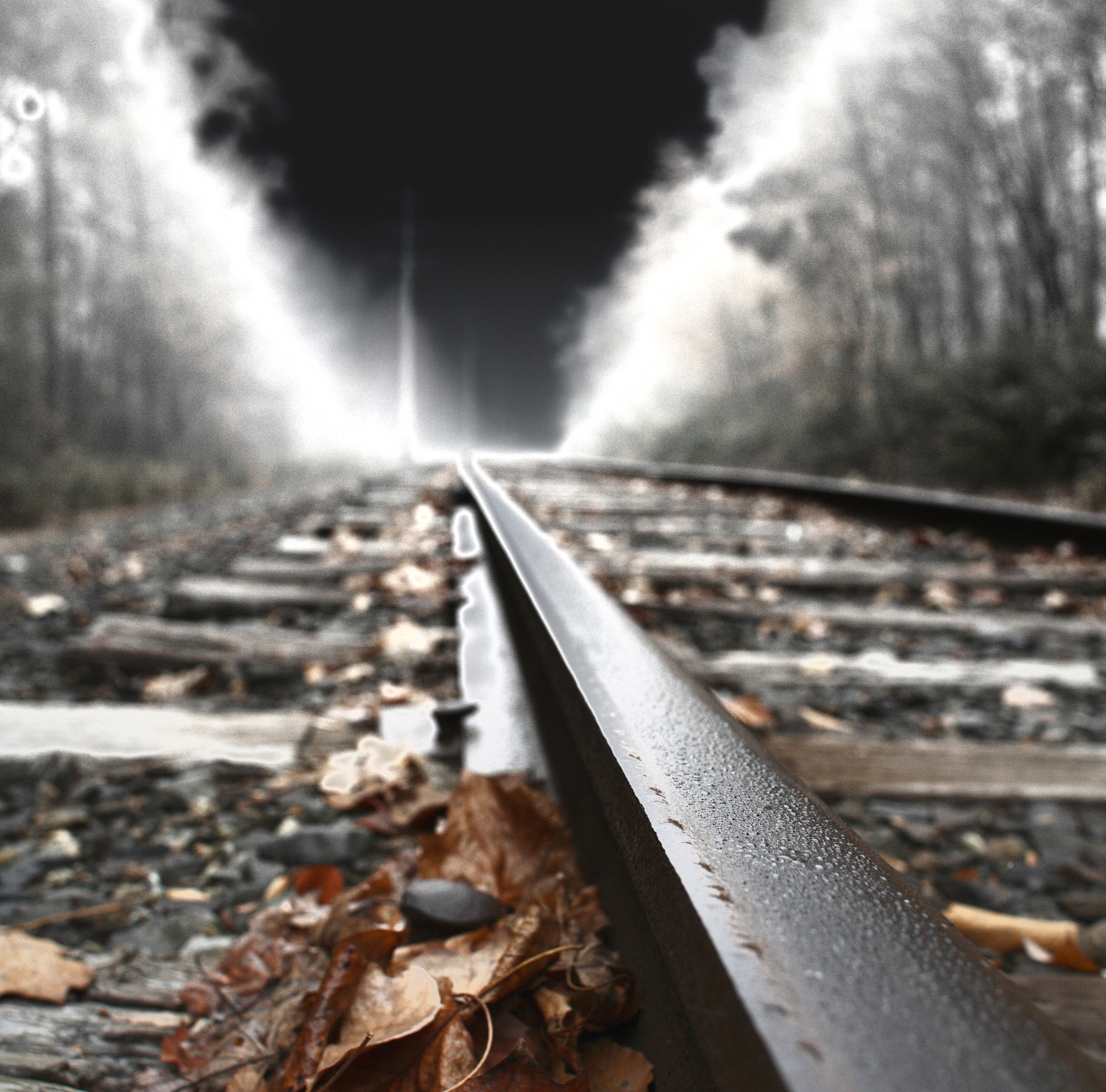 track effects web 1 (1)